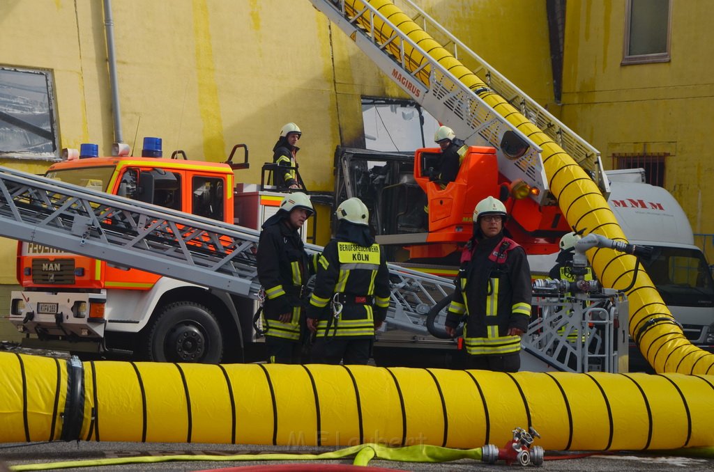 Grossfeuer Poco Lager Koeln Porz Gremberghoven Hansestr P537.JPG - Miklos Laubert